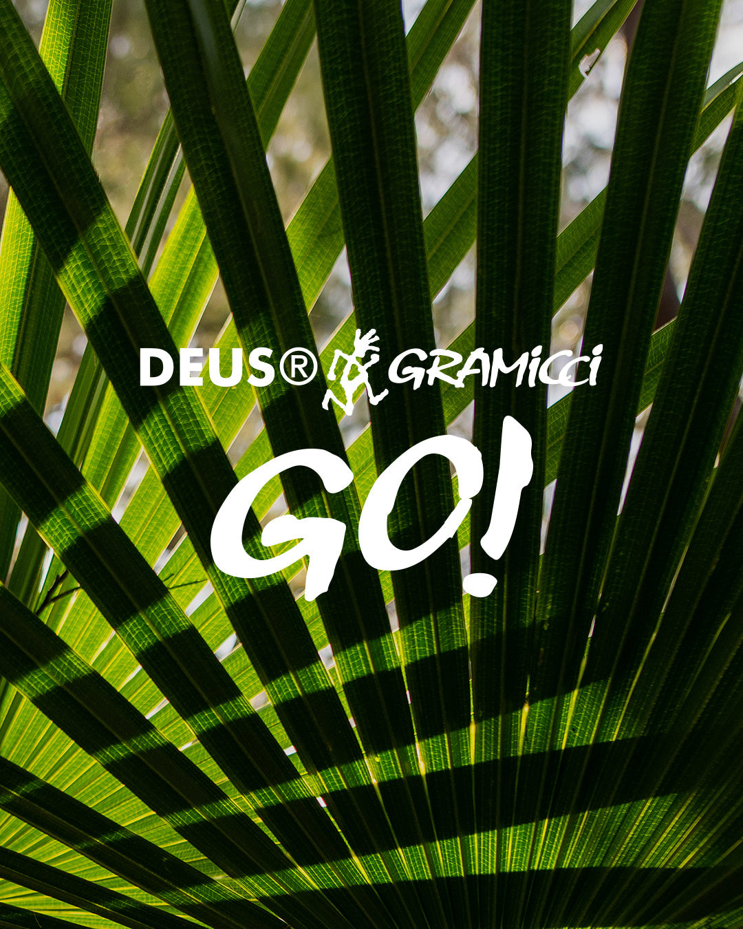 Deus X Gramicci Collaboration