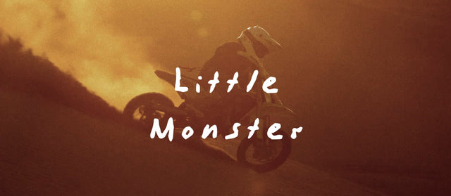 Little Monster